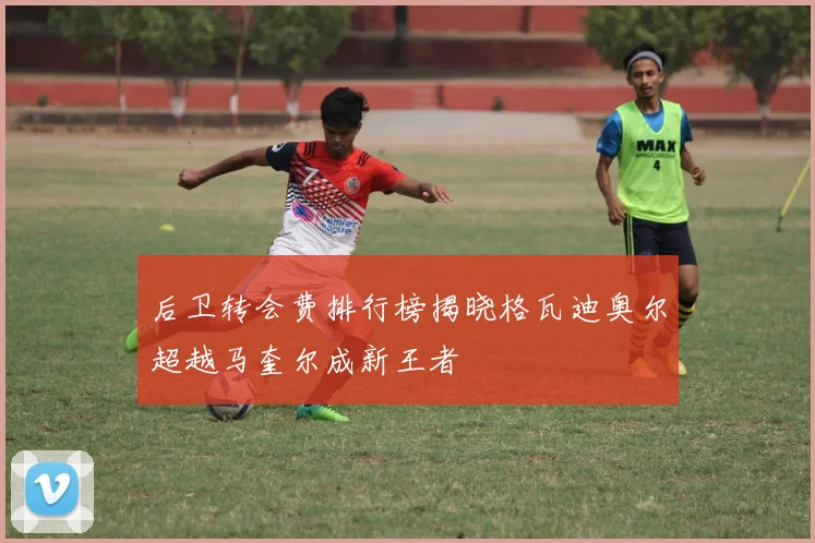 后卫转会费排行榜揭晓格瓦迪奥尔超越马奎尔成新王者