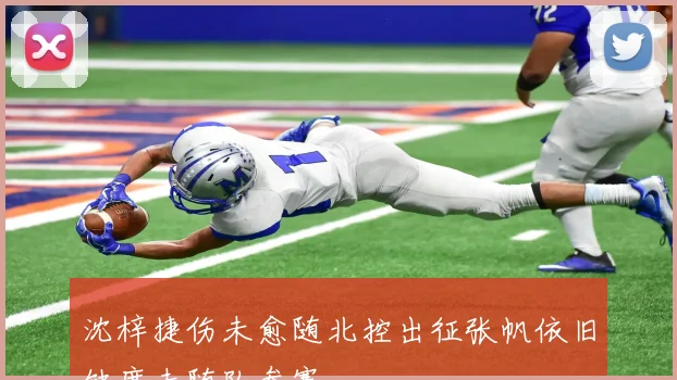 沈梓捷伤未愈随北控出征张帆依旧缺席未随队参赛